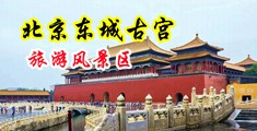 欧美美女摸逼逼中国北京-东城古宫旅游风景区