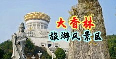 嫩逼潮喷视频中国浙江-绍兴大香林旅游风景区